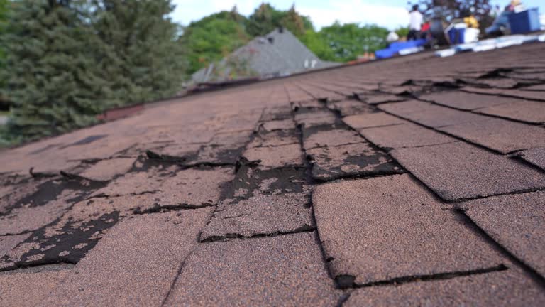 Best Storm Damage Roof Repair  in Huntingdon, TN